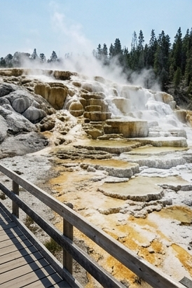 Yellowstone entrance fee