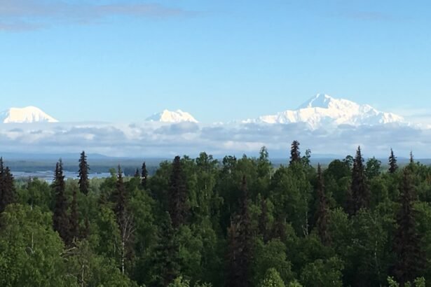 green trees near snow covered mountain during daytime