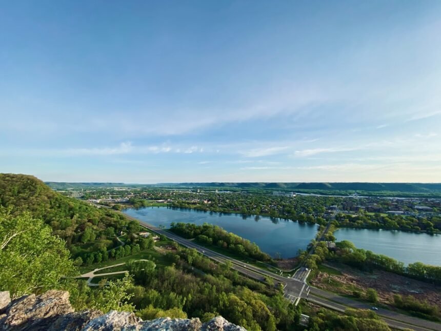 green trees and body of water under blue sky during daytime