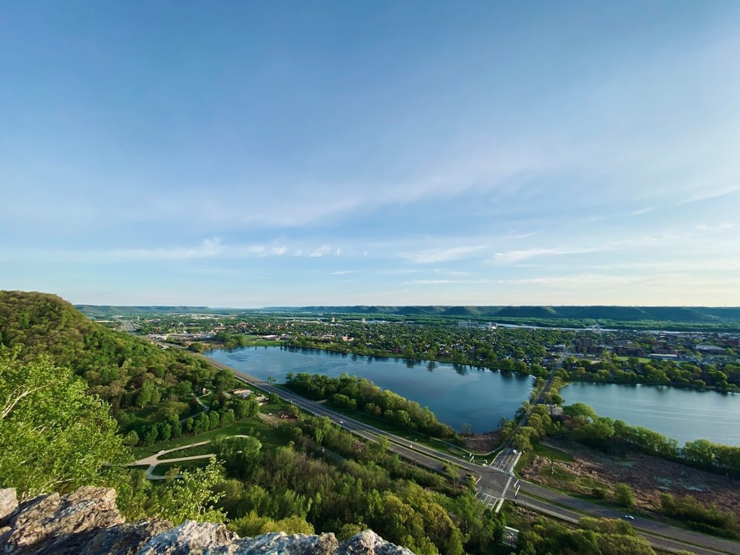 green trees and body of water under blue sky during daytime
